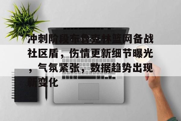 关于冲刺阶段布鲁克林篮网备战社区盾，伤情更新细节曝光，气氛紧张，数据趋势出现新变化的信息